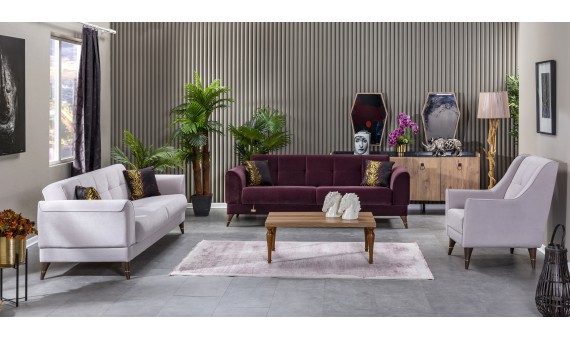 AYTAŞ HOME ANKA SALON TAKIMI