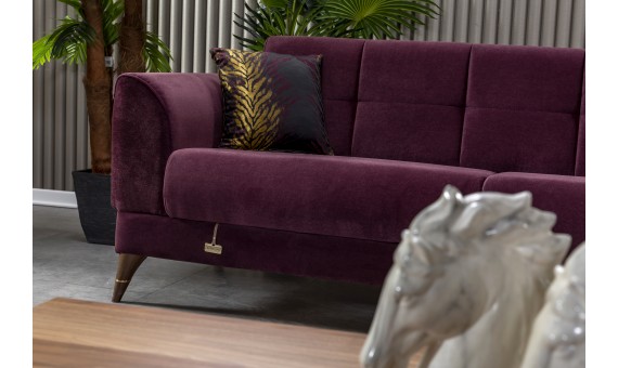 AYTAŞ HOME ANKA SALON TAKIMI